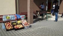 dzien_sportu