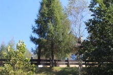  janruda