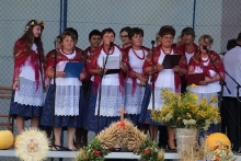  Gminne Dożynki we Wróblowicach