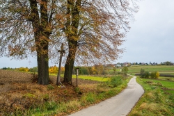 Czytaj więcej: Odbudowa drogi w Gwoźdźcu