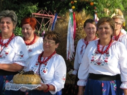 Dożynki we Wróblowicach