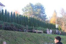  dmlelsztyn