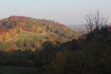  dmlelsztyn