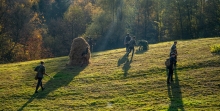  radomysl