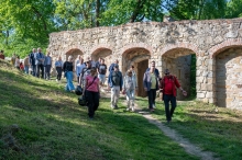  itmelsztyn