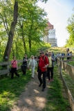  itmelsztyn