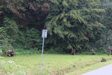  Odsłonięcie pomnika ku czci kpt. "Salwy"