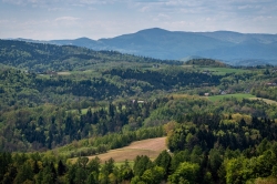Czytaj więcej: Lato w Gminie Zakliczyn - Olszowa