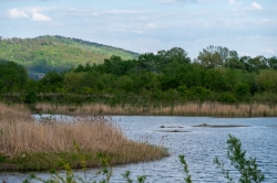 Czytaj więcej: Lato w Gminie Zakliczyn - Roztoka