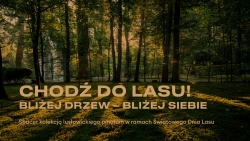 Czytaj więcej: Chodź do lasu! Bliżej drzew – bliżej siebie 